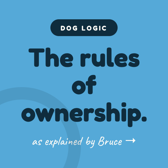 BruceOtis_'s tweet photo. Bruce has reviewed the ownership rules and can confirm everything is proceeding exactly as expected. Dog logic is undefeated. https://t.co/kqN2tLAqlW