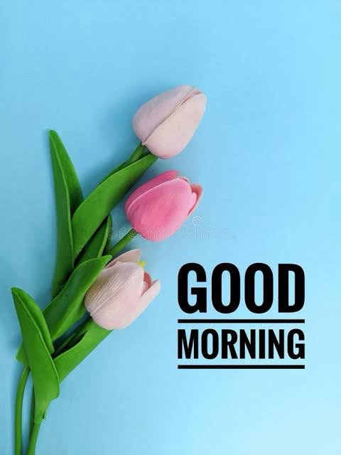 MusheerIndia's tweet photo. https://t.co/H9znMzcEHe