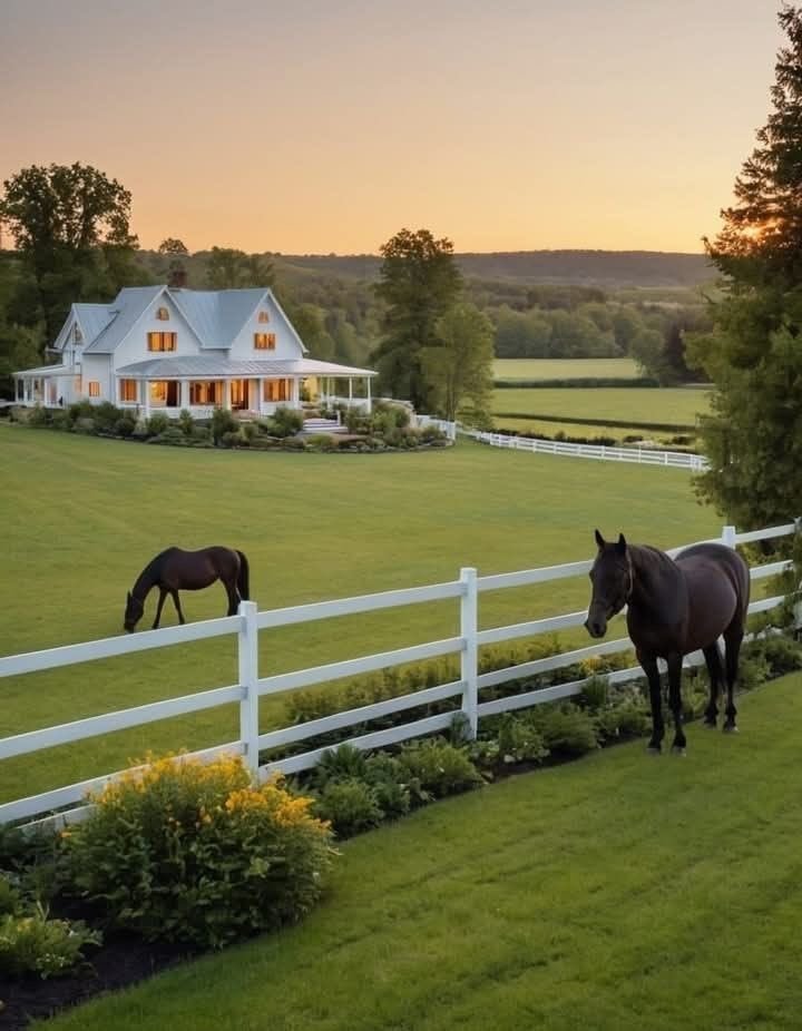Grace14468's tweet photo. This has always been the kind of life I’ve dreamed of: having a piece of land of my own, somewhere peaceful and far away from the internet and the hustle and bustle of everyday life. https://t.co/766465uEog