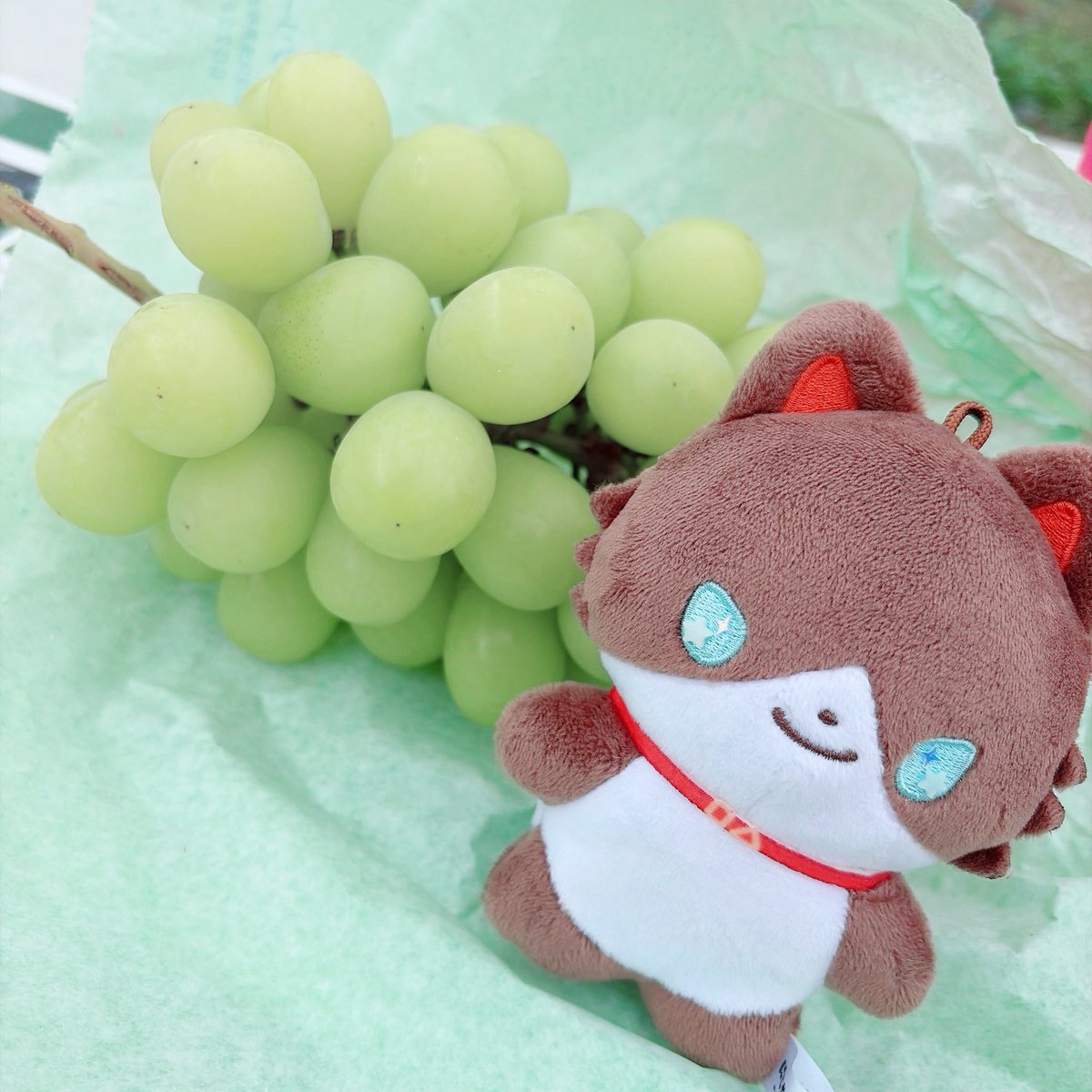 _Kiratora's tweet photo. でっかぶどう狩り🍇⟡.· https://t.co/mvKEUWaup1