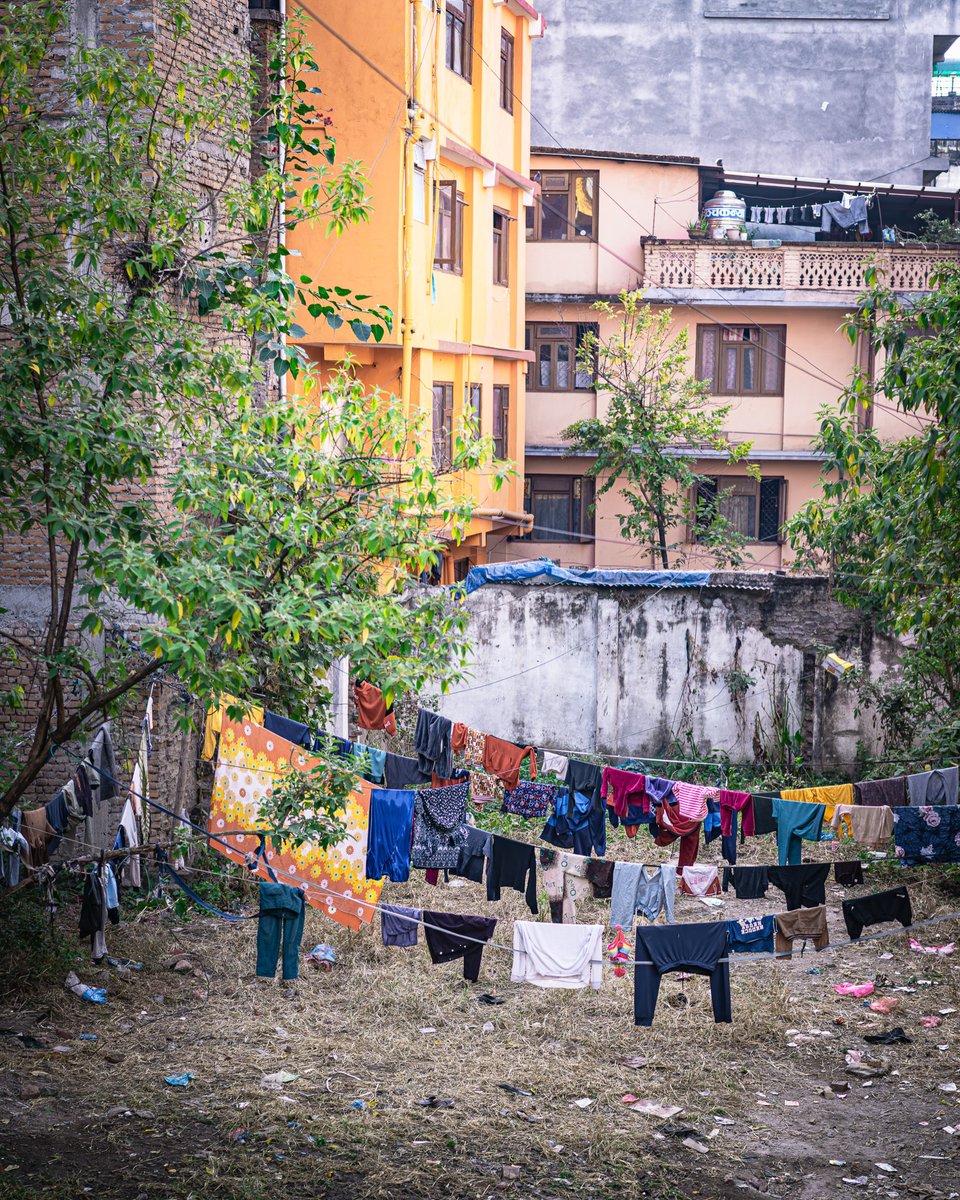 TulaChestand's tweet photo. Monkey in Nepal https://t.co/2nfDN0rvUt