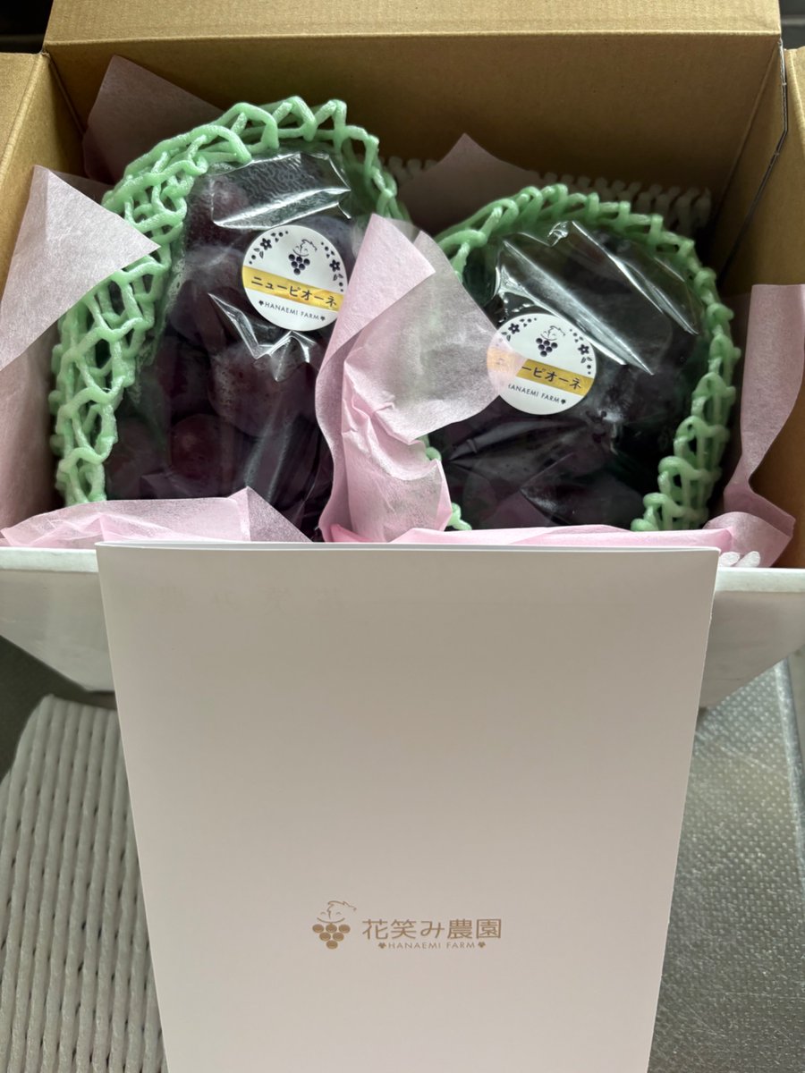 lpm3dog's tweet photo. がいせん桜プロレスの返礼品、
🍇ぶどう🍇受け取りました🙌
立派なピオーネが2房‼️
ぶどう大好き嬉しいっ😆 https://t.co/jAdZ7JztAT
