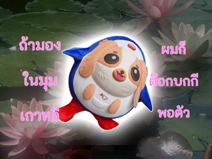 aordoraordor's tweet photo. https://t.co/pcWNciDsbO