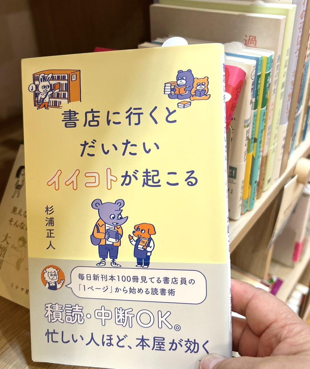 morino_honya's tweet photo. 猫古書さんが本を補充くださいました。

#書店に行くとだいたいイイコトが起こる 

はい、そうです^_^

#過去の学生 

#森の本屋軽井沢 
#森の本屋 https://t.co/wPk28TGdlW