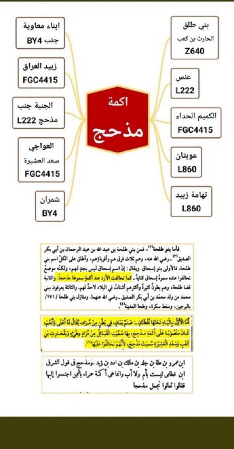 Jaoad935508's tweet photo. @QaisMudar11 قحطان المذحجية حلف 

حل اللغز وابشر https://t.co/uJBmao2iOd