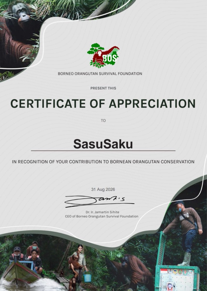 sasusakuinfo_id's tweet photo. Update Donasi SasuSaku untuk Orangutan Kalimantan dan Warga korban gempa di NTT🍅🌸

Terima kasih banyak SSL atas donasi yang kalian berikan💕

Mari bersama-sama terus melakukan kebaikan. Karena kebaikan sekecil apapun sangat membantu🍅🌸

#PrayforNTT #PrayforKalimantan #sasusaku https://t.co/irf3kN1QJB