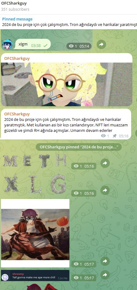 rhlanggou's tweet photo. xlg @xiaolanggouTRX I have worked hard for this project in 2024. It was on the Tron network and we did wonders. She plays a rebellious girl who uses meth. The NFTs were incredibly beautiful, and now they've launched them on the RH network. There's no real cult following for Robinhood. These fucking Chinese guys are so good.
$XLG