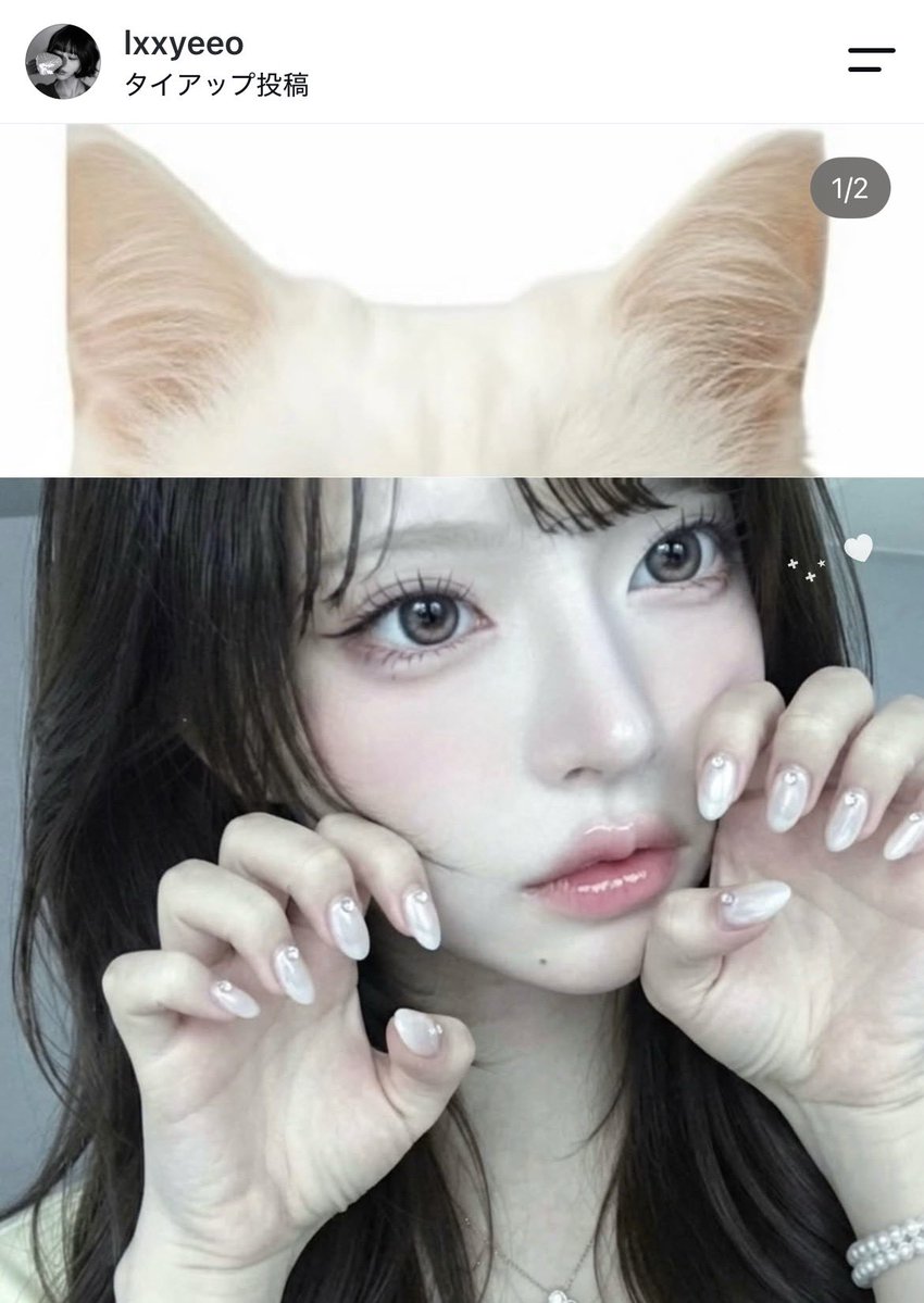 meloa_beauty's tweet photo. 猫目になれる水光感が最高すぎるカラコンはこちら🐈‍⬛✨ https://t.co/y2k1UIhEzC