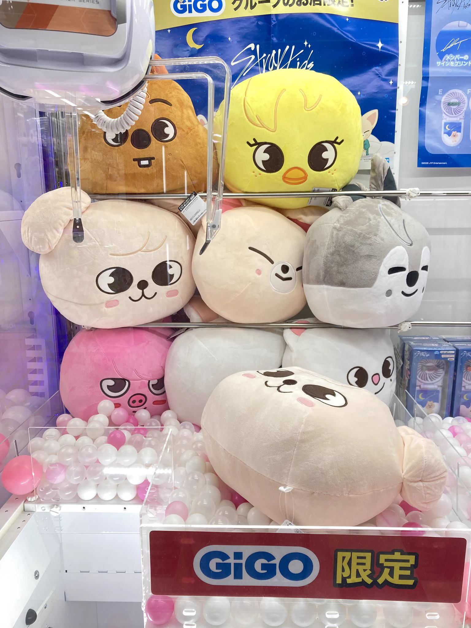 タグ付き・未使用◾️ドーム型BIGぬいぐるみ　全８種◾️SKZOO　GiGO限定 GiGO 米子 on X: 
