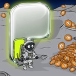 Photo by Bitcoin Cat Mascot (@bitcathood)