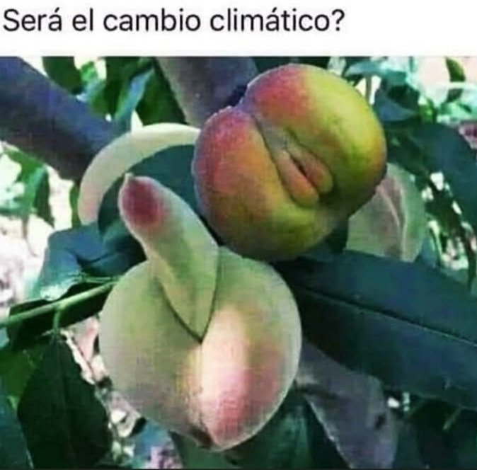 Anibal01526094's tweet photo. EL VIEJO SABIO DECÍA 
MANDALE FRUTA 
MÍ AMOR DURA LO 
QUE DURA**DURA 
CUALQUIER SIMILITUD
 ES MERA COINCIDENCIA 
ABRAZOS GRUPETE https://t.co/KkMc37YhZ3