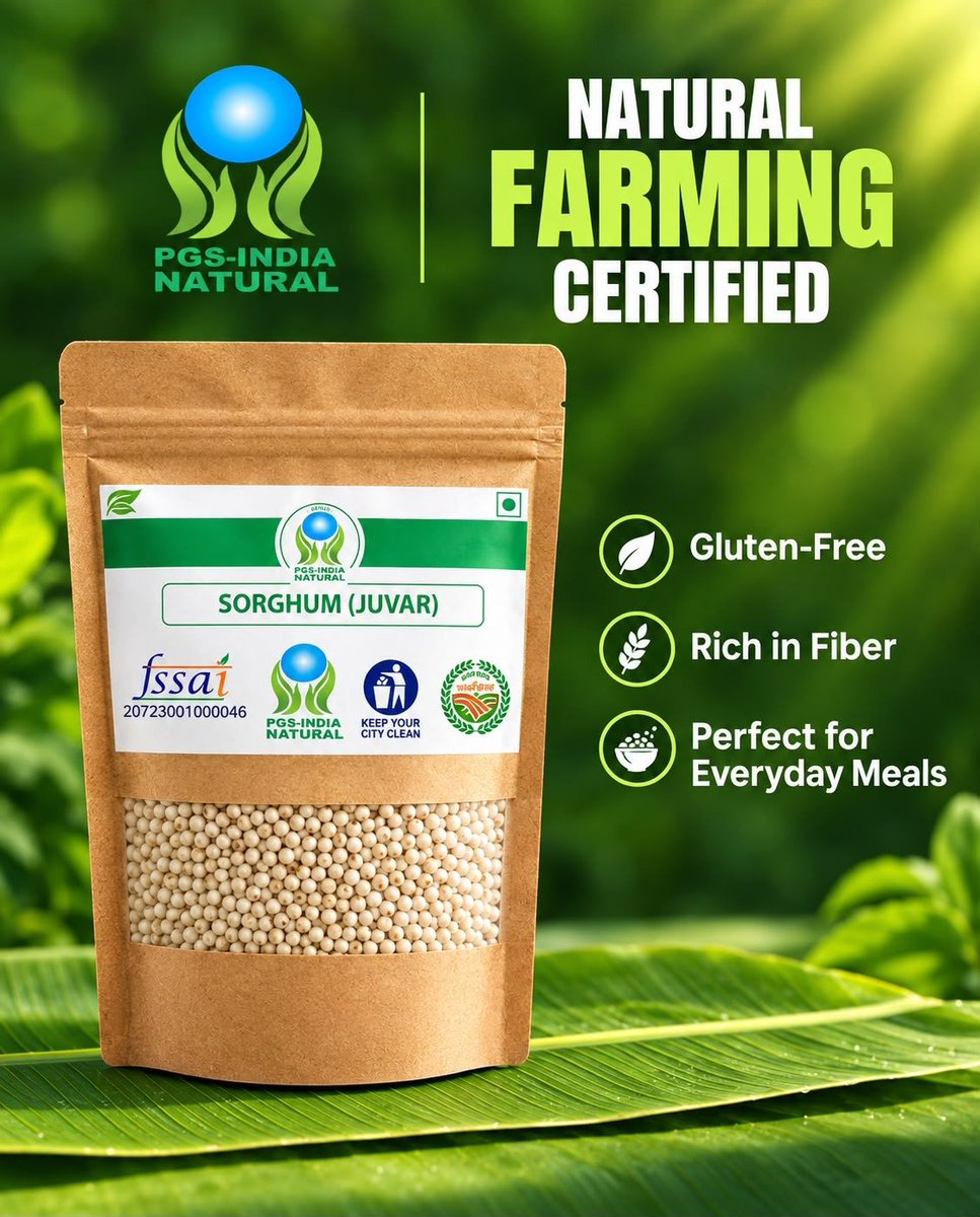 AgriGoI's tweet photo. Go Natural🌿 

Subir Taluka Natural Farm Product Producer Co. Ltd., #Dang #Gujarat #FPO, with 750 farmer members, cultivates sorghum through natural farming practices using on-farm bio-inputs such as Ghanjeevamrit, Agniastra & Beejamrit.

Natural farming helps reduce the cost of cultivation, improves soil nutrient content, enhances microbial activity & better farm outcomes.

📞 FPO Contact:
Sh. Ganesh Bhai 
 79849 15158

Click to buy directly from the FPO:
https://t.co/5Bhmymn7rR

#NaturalFarming #ShreeAnn #BioInput #SoilHealth