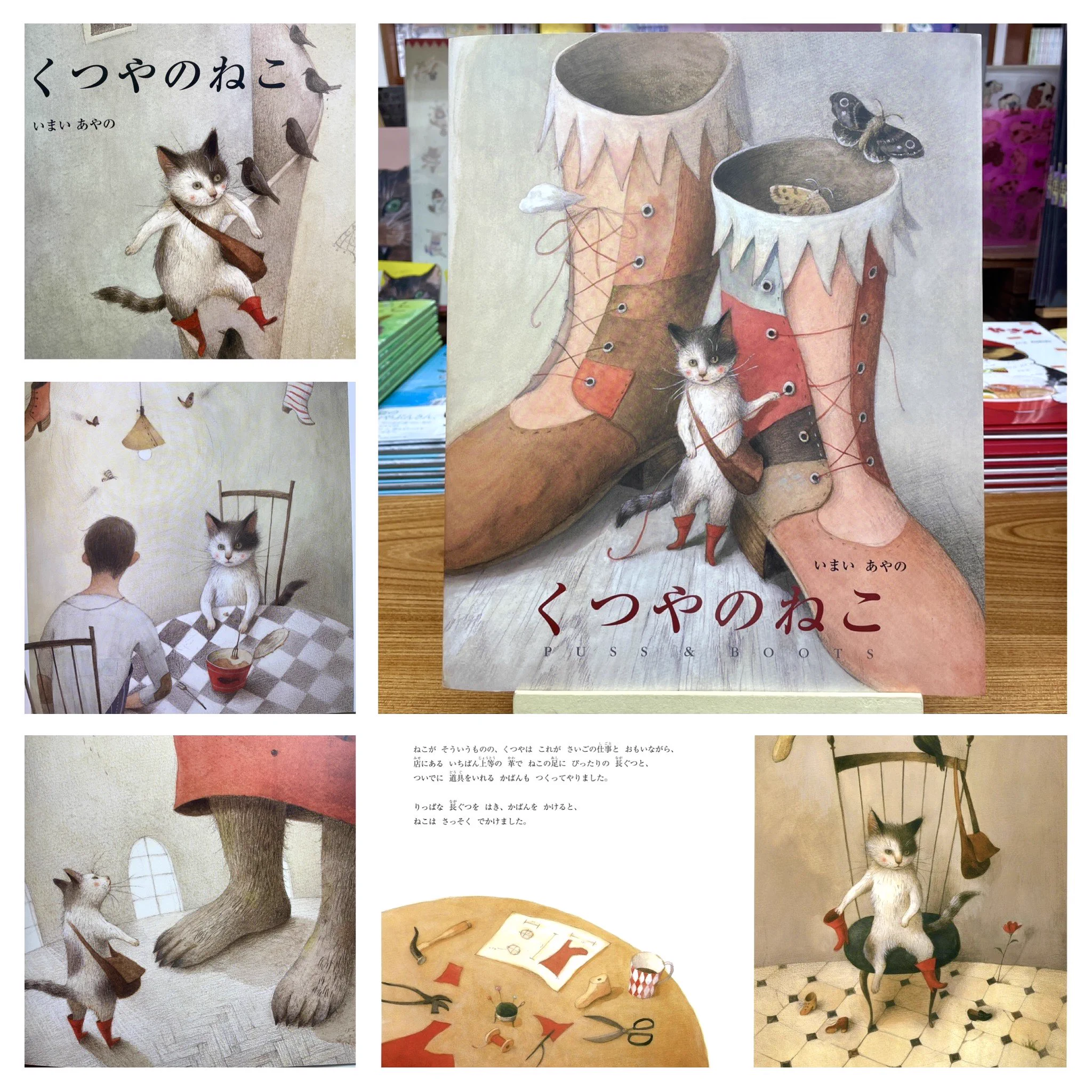 猫本専門 神保町にゃんこ堂_姉川書店 on X: 
