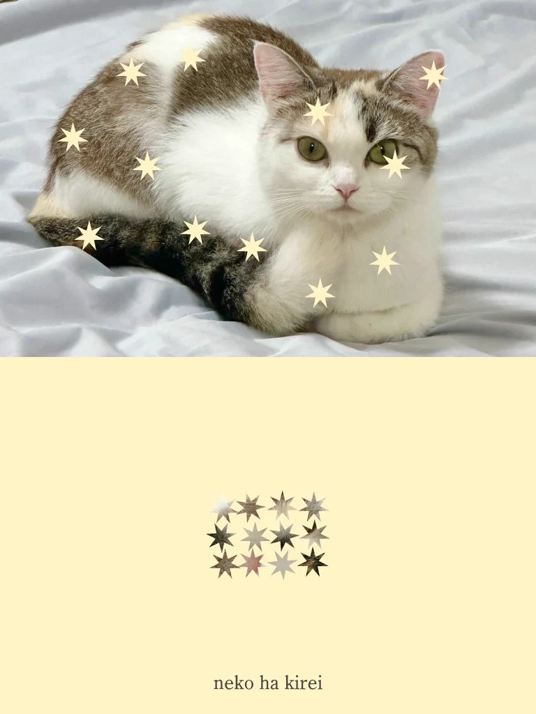 わお on X: 