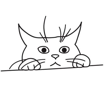 Yuruneko_offi's tweet photo. #yuruneko 
#猫のいる暮らし #猫好きさんと繋がりたい https://t.co/EIf7m6uaIU