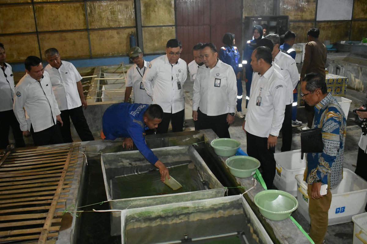 bppsdm_kp's tweet photo. @kkpgoid @saktitrenggono @in_radiarta @BPPSDM_BRPI_ Dalam kesempatan tersebut, rombongan turut meninjau pembenihan lele dan nila, pembuatan pakan, hingga panen telur nila. Proses ini juga menjadi ruang praktik bagi taruna yang sedang menjalani magang

#KKPGOID #SaktiWahyuTrenggono #SDMKP #SDMUnggul https://t.co/hkbpQ9UuHw