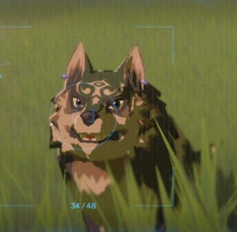 Happy_Bullets's tweet photo. Wolf Link before and after you tell him he's a good boy https://t.co/AGc4t2VrKF