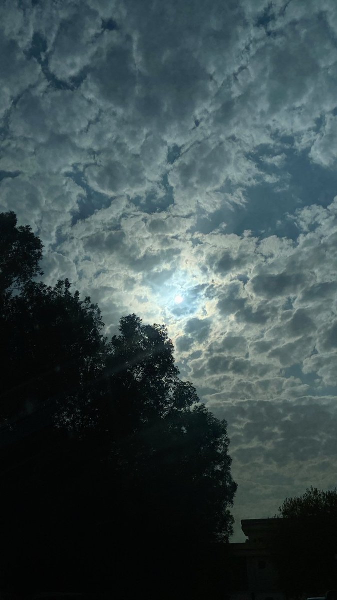 cuam_ua's tweet photo. أصبحنا وأصبح المُلك لله⛅️🌿 https://t.co/nwseHpSW1X
