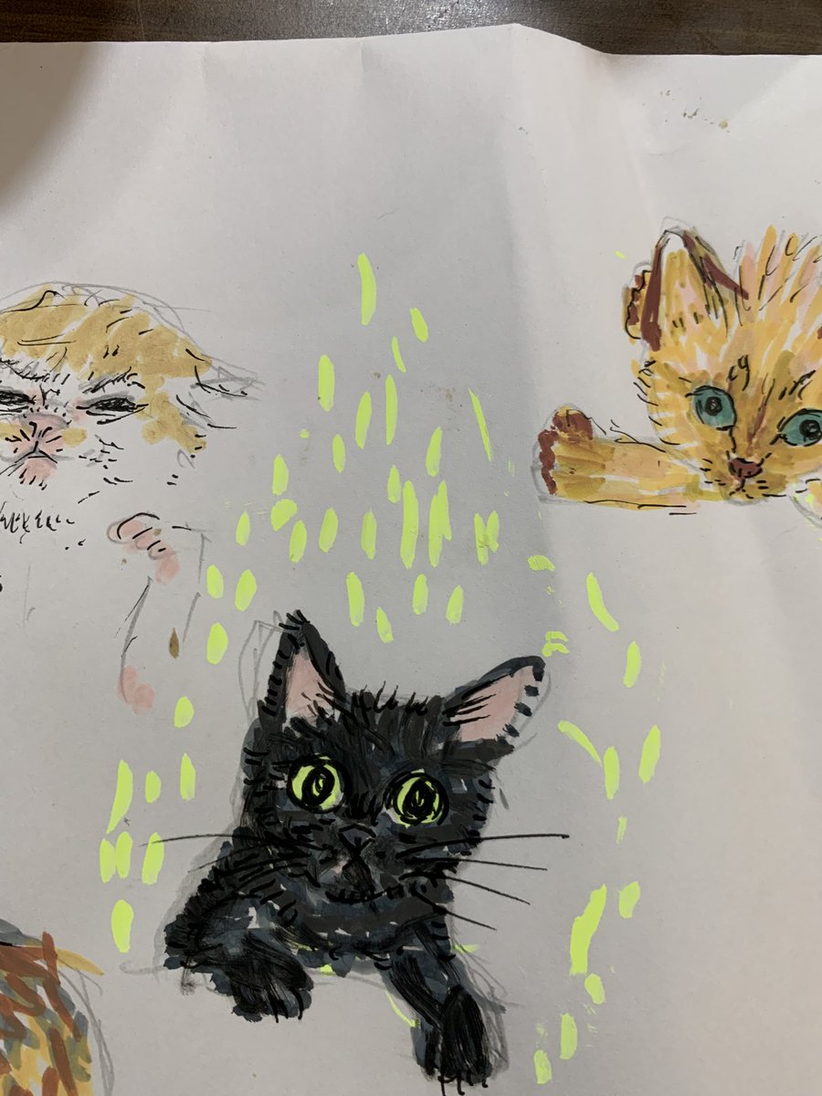 hacocolle's tweet photo. にゃあ

#イラスト
#cat
#tomococo https://t.co/gpNtMrrdEd