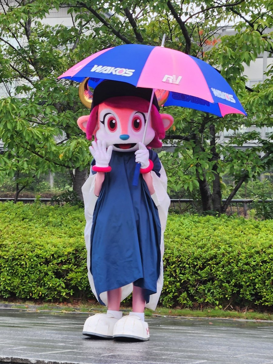 baridaru_com's tweet photo. 雨合羽ベルたそは特級レアやぞ！ https://t.co/PYrw634DHJ