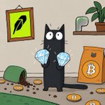 Photo by Bitcoin Cat Mascot (@bitcathood)