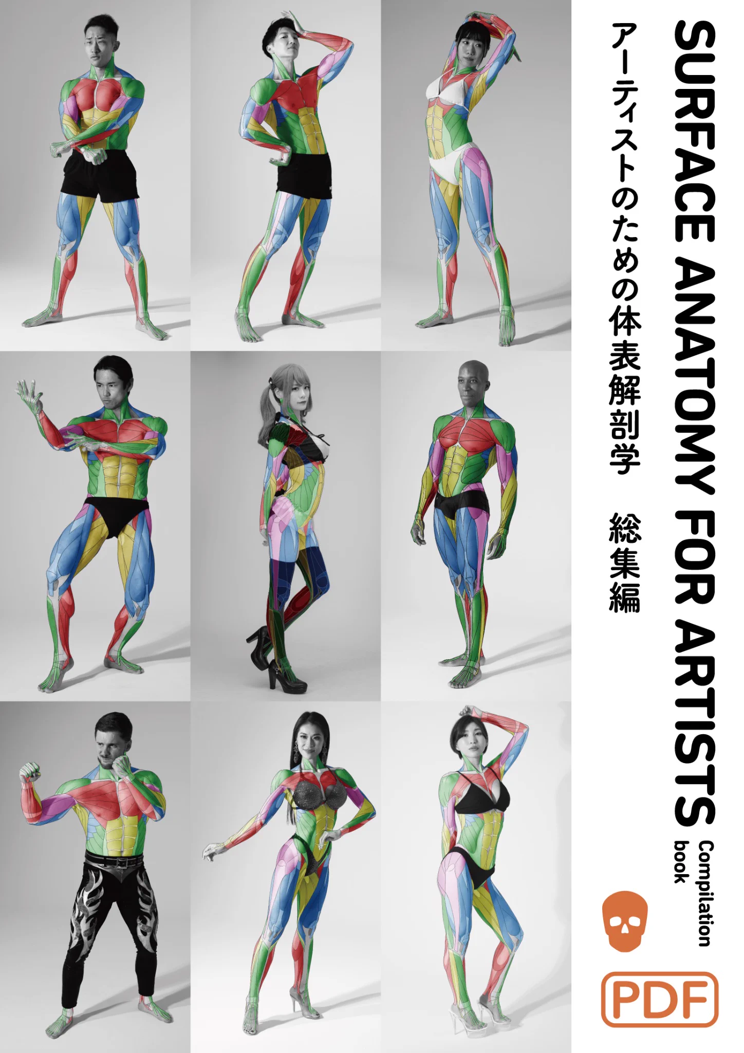 anatomy tutorials on X: 