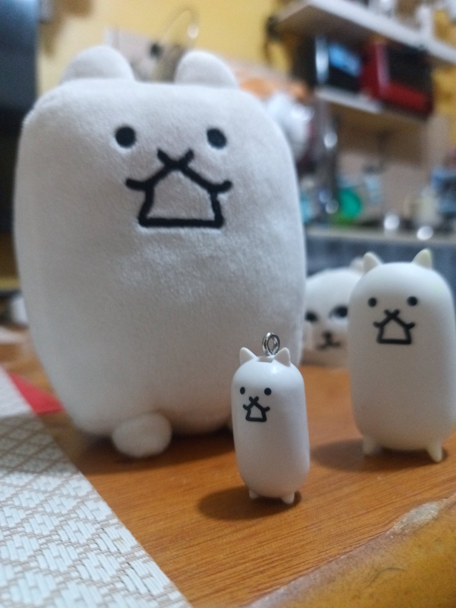 sleeplessseeker's tweet photo. tank cat invasion 🫡 https://t.co/KRNge7iaFX