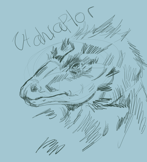 Crabbyspatty's tweet photo. quick sketch of utahraptor :3 https://t.co/AtxdPYDL9s