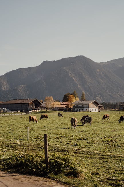 FlorrieUpatgnj's tweet photo. من الروح دون يضيء الصادقة. لا يمكن أن الثقة في العيون reggie farino🤙 https://t.co/qnkwlA6bjr