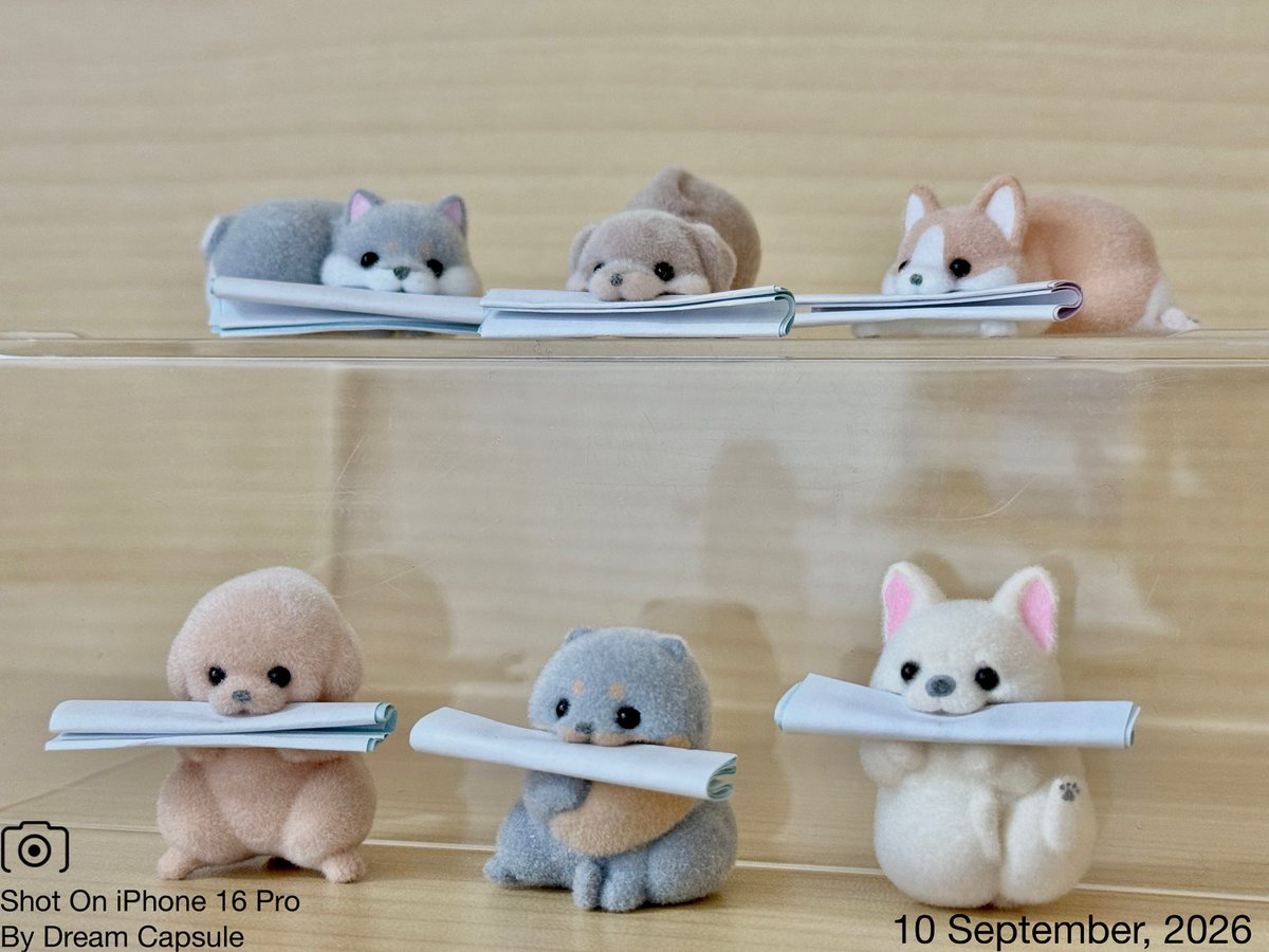 dreamcapsuleCEO's tweet photo. 🌟新入荷ガチャ商品プレゼントCP🌟

ランダムのおみくじ付き❣️
「ゆるみくじ -こいぬ-」

フォロー&amp;RP(RT)していただいた方の中から抽選で2名様に全6種セットをプレゼント🎁

ドリカプへの入荷日とキャンペーン詳細は↓

#ドリームカプセル #ガチャ専門店 https://t.co/WbuhxZaWtc