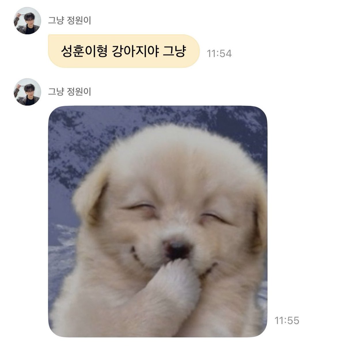 LiLi021208's tweet photo. 정원이에게 훈멍이미지
벌벌떠는짝은똥깡아에서 부히부힛훈죽이된거 전나귀여으ㅓ 하하하하하하하 https://t.co/Y948Q8OQSx