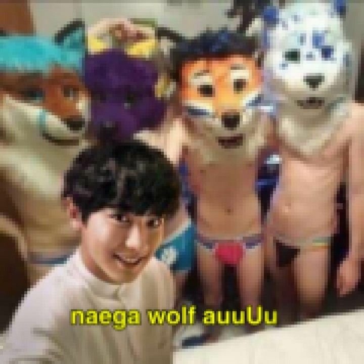wlilboysmadeof's tweet photo. Diganme por favor que se acurrdan de los rumores de chanyeol furry https://t.co/ZoyzDrX6s3