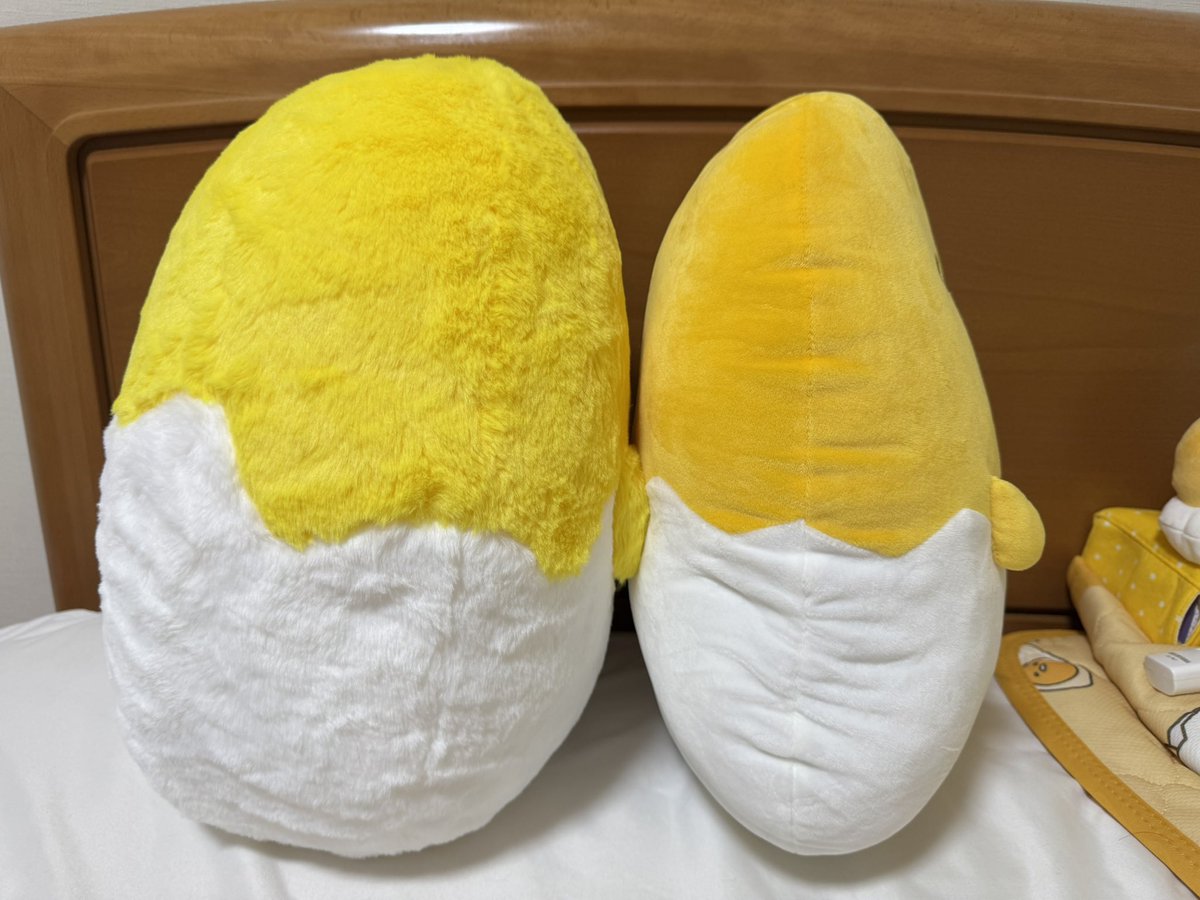 Fujihase's tweet photo. 早速お迎えしてきました〜💕
思ってたより大きくて他に荷物もあったので持ち帰るの大変でした😅
しまむらさんでお迎えしたぐでちゃんより背が少し高くてふくよかな卵ちゃんです
#ぐでたま https://t.co/0y44lTXNWR
