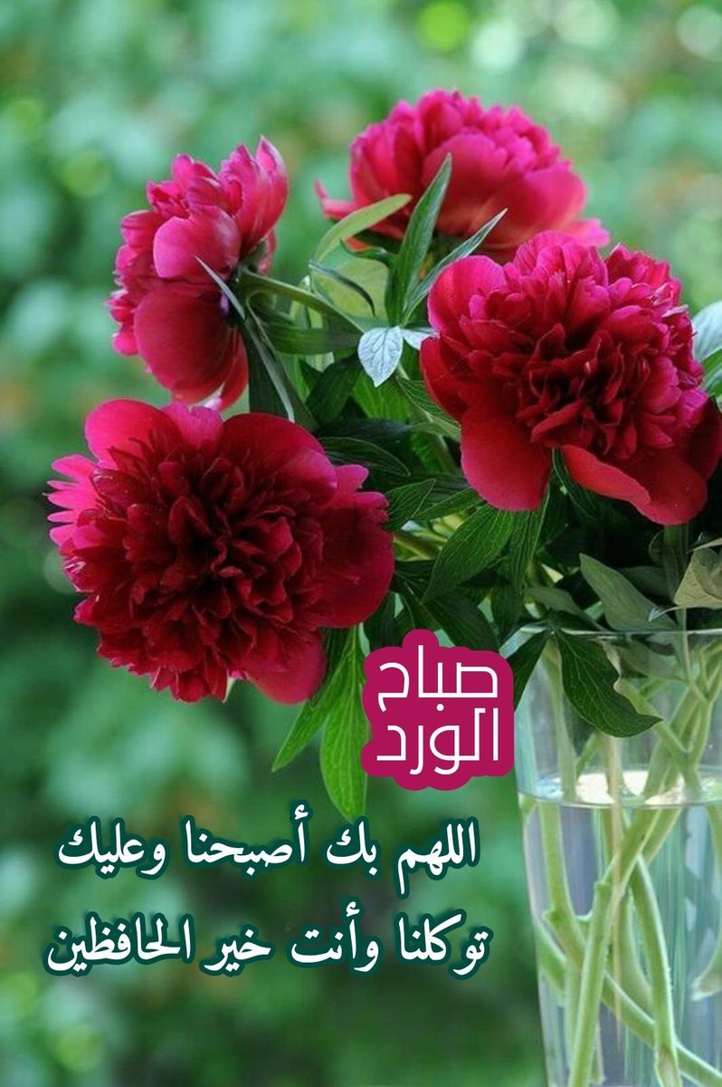 13n0n13's tweet photo. #الخميس_الونيس https://t.co/uQLB9ZDYdo
