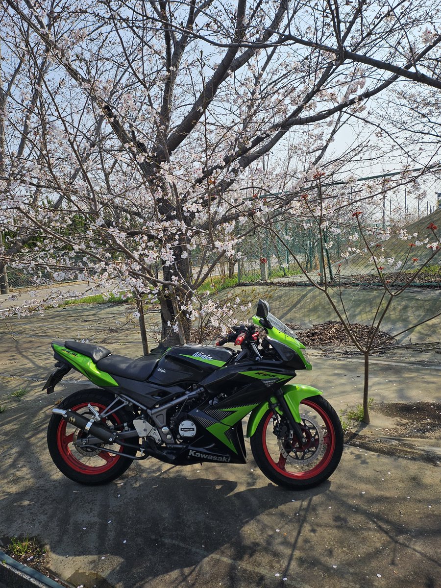 Ninja150RR_'s tweet photo. 年齢更新👍
もう風船飛ばないんだー

名前:うに
生息地:愛知
性別:♂
年齢:60歳(還暦)
出没:西三河農道近辺
バイク歴:45年
愛車:Monky Z50J、Ninja150RR
好きな物:農道、キャンプ
嫌いな物:30㌔で走る軽トラ
ひと言:いつバイク降りるか模索中
#バイク乗りとして軽く自己紹介
#バイク好きと繋がりたい https://t.co/3EU6ODA0O1