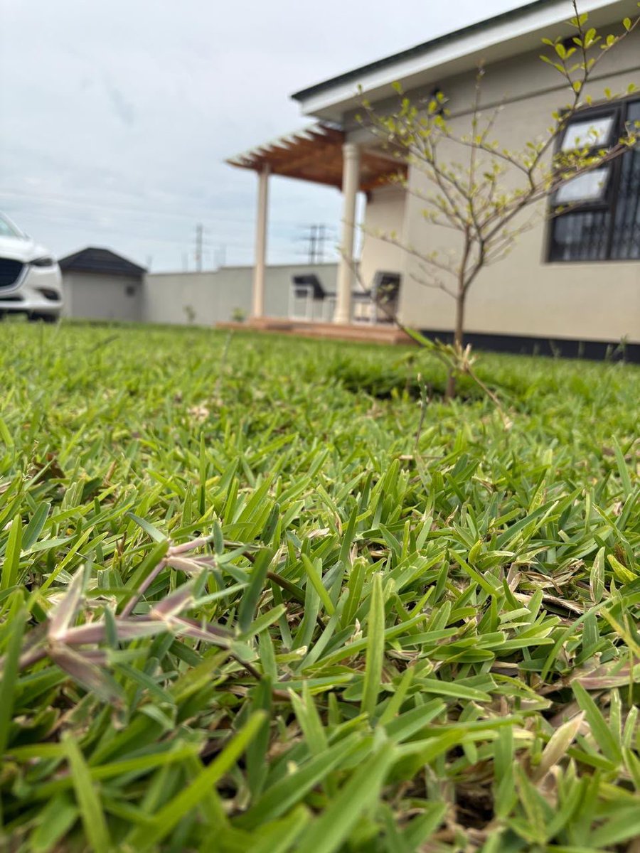 JulioMulenga's tweet photo. STAND-ALONE AIRBNB | AREA 46

Near Area 9 | MK180,000/night

• 2 bedrooms • Smart TV &amp; DStv • WiFi • Backup power &amp; water • Washing machine • 24/7 security, CCTV, electric fence &amp; alarm • Remote electric gate

📞 Call/WhatsApp: 0983 020 911 https://t.co/O3AZCGnBHK