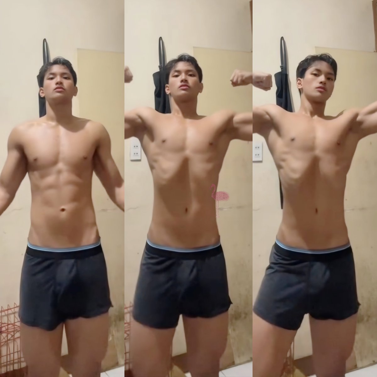 King30kong88's tweet photo. Bebe boi Andrei 🦩🩷 https://t.co/qnO3c5rGHe