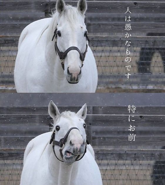 yukimamax's tweet photo. そうそう。これオブこれ。正直、AIの制限は核廃絶ぐらい意味のない主張だと思う。

理想はそう。誰もが戦争反対。そんなの当たり前であって。

理想を口にするなとは言わんけど、それで足を止めるのはあってはならない。ゆえにワイは全力投資です。 https://t.co/gvPzyBWdwY