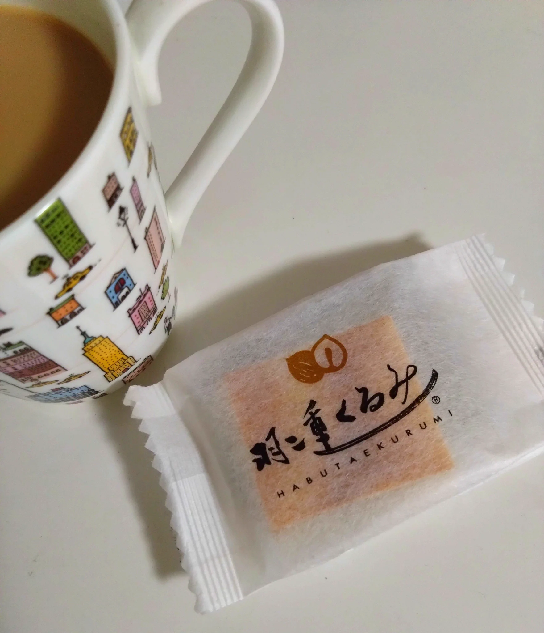 活動歴および当時の関連ビジュアル記録