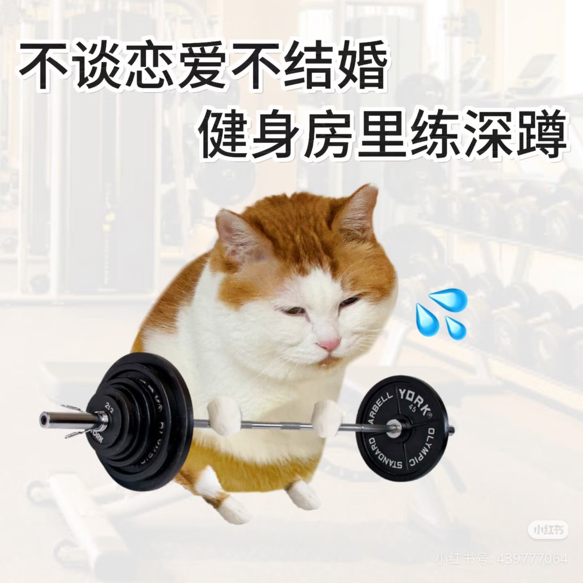 smiaomn's tweet photo. 今天下班有重要约会 https://t.co/rUpCmaXecB
