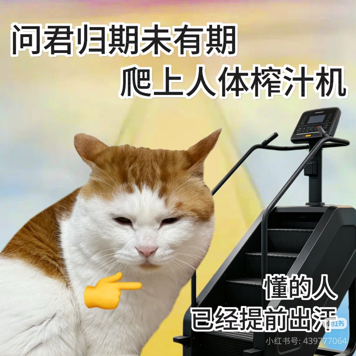 smiaomn's tweet photo. 今天下班有重要约会 https://t.co/rUpCmaXecB