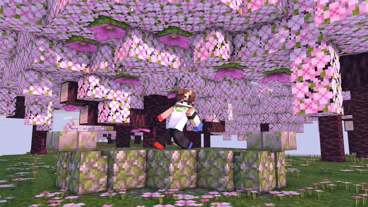 PlebeCraft_SMP's tweet photo. The swaggiest boy in the group (idk i'm so sorry) Welcome, @SwaggoVT ! https://t.co/Q8whIYgeza