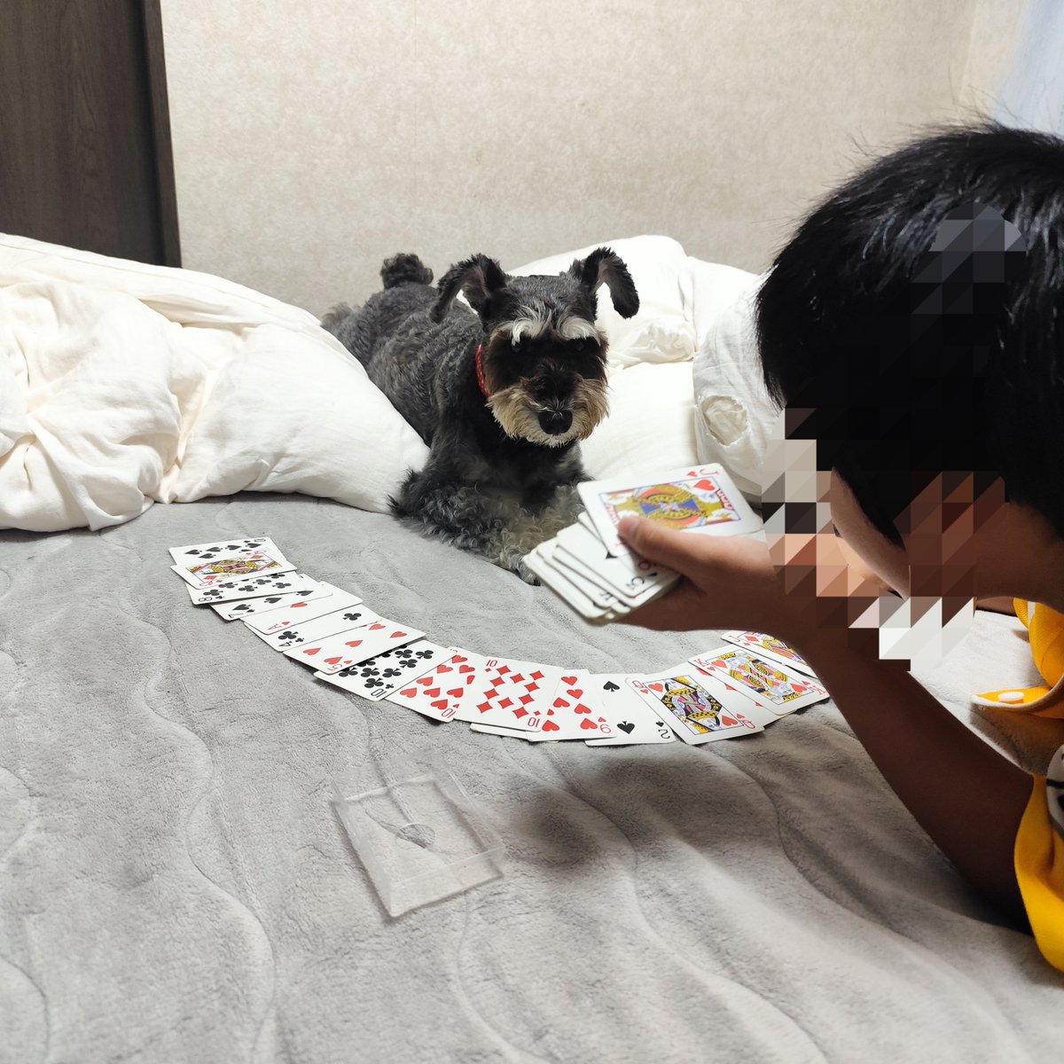vwtype1980's tweet photo. 子供が大きくなっていくと、子供の写真より犬の写真が増える。 https://t.co/5ZjuyUA0ns