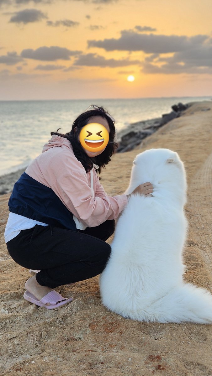 makidoy's tweet photo. @borahaeot719 Luke the dog 😅 We have our own Luke!! Hihi https://t.co/8HEpIjNwmP