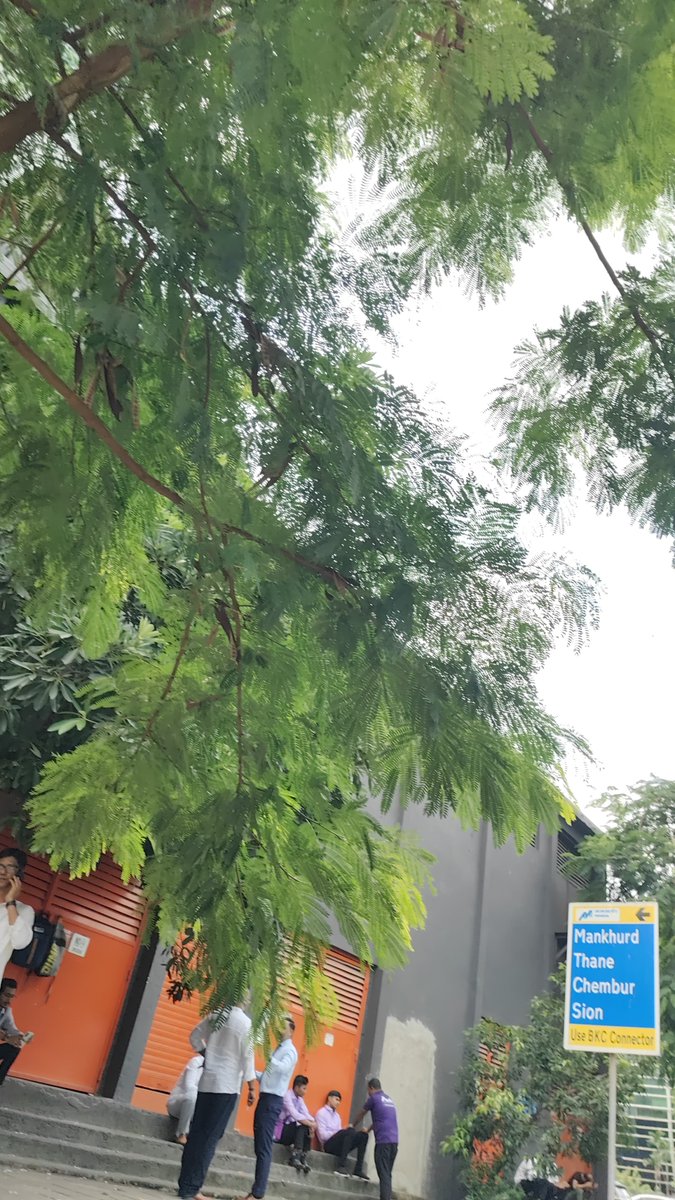 mssss1245's tweet photo. @MumbaiPolice @mybmc 
Bkc Crescenzo business district या बिल्डिंग च्या समोर जो फुटपाथ तसेच बाजूच्या बस स्टॉप वर मोठ्या प्रमाणात धूम्रपान करत आहेत कारवाई करावी ही विनंती https://t.co/JcEVefgeMi