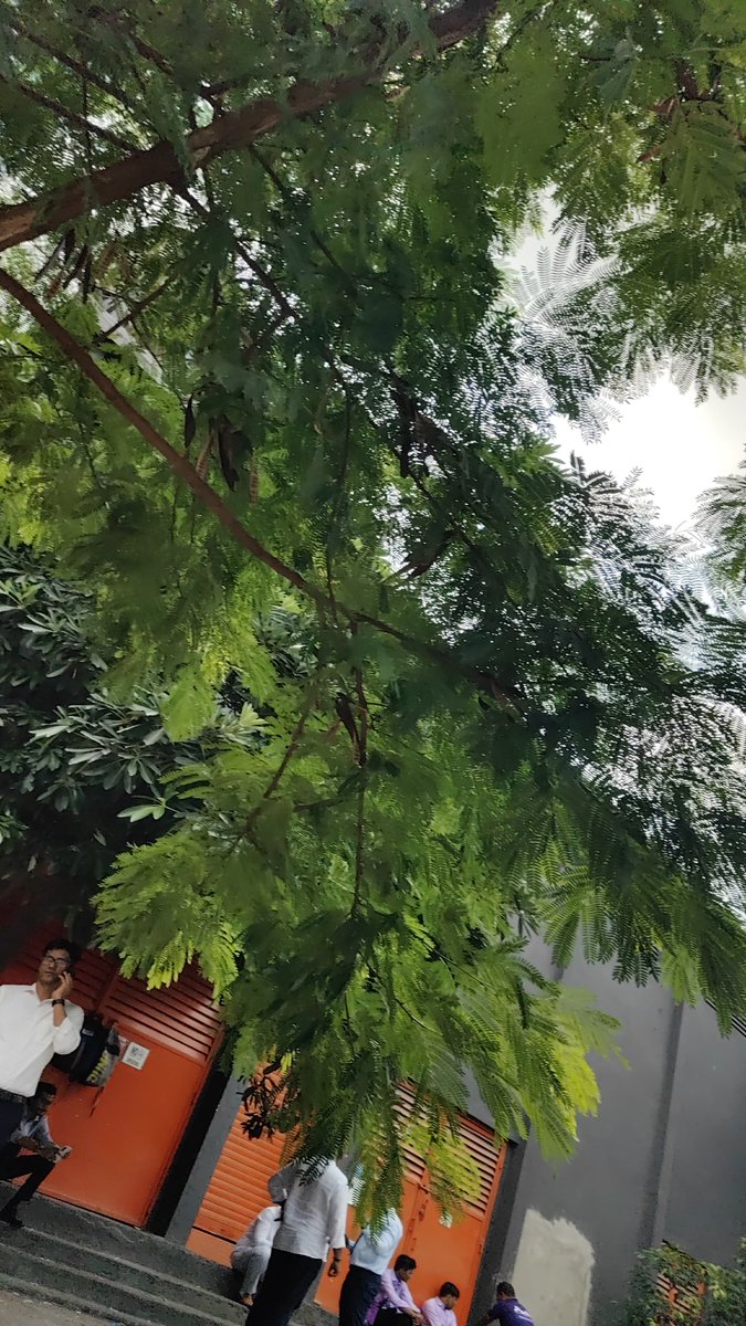 mssss1245's tweet photo. @MumbaiPolice @mybmc 
Bkc Crescenzo business district या बिल्डिंग च्या समोर जो फुटपाथ तसेच बाजूच्या बस स्टॉप वर मोठ्या प्रमाणात धूम्रपान करत आहेत कारवाई करावी ही विनंती https://t.co/JcEVefgeMi