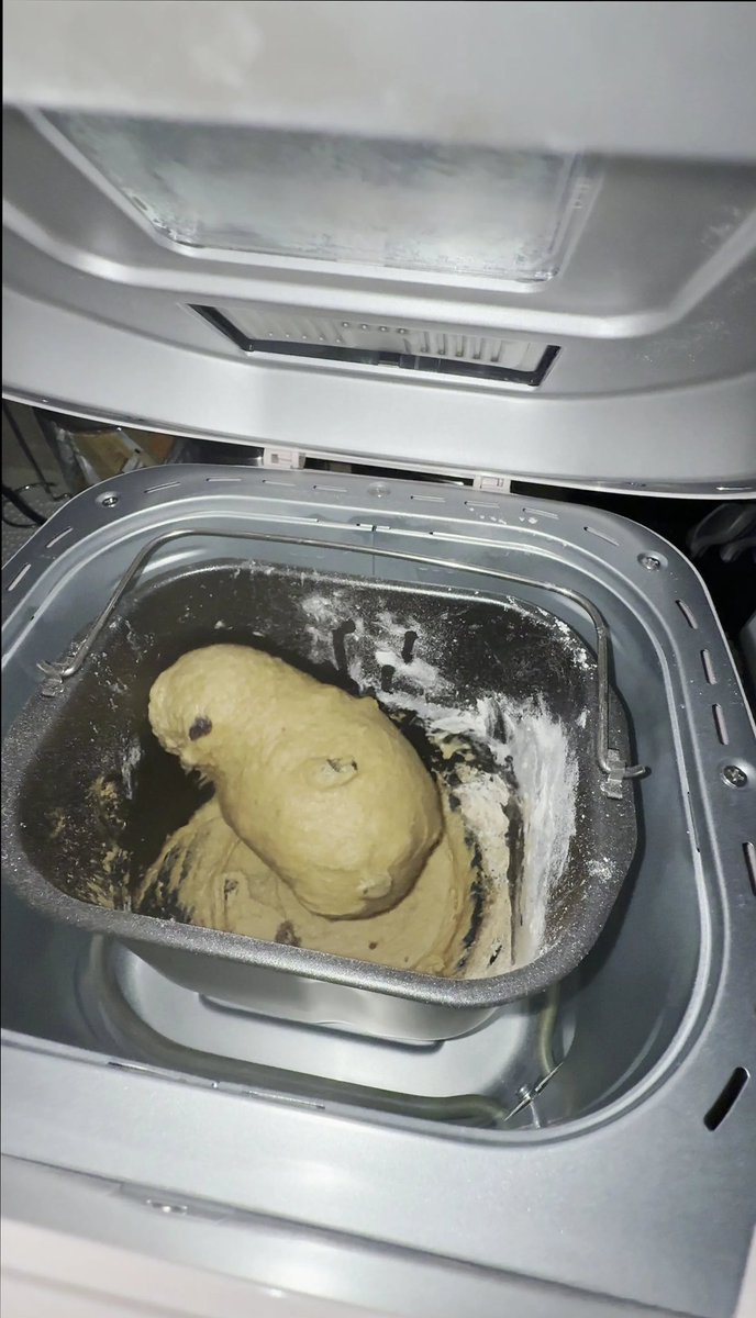 Cozyvik's tweet photo. My cinnamon raisin bread dough is absolutely out of control right now 😭🍞✨ She’s rising, thriving, doing the absolute most… and honestly I’ve never been prouder 🥹💖￼ https://t.co/JBgNITqm3n
