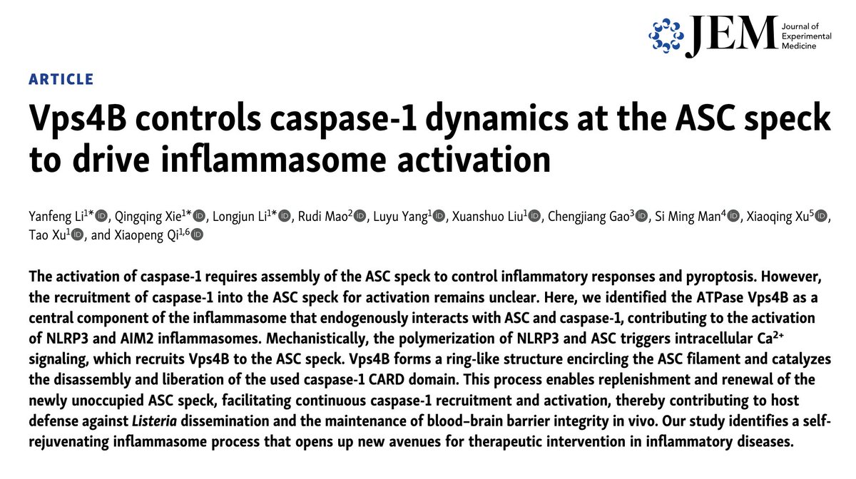 SiMingMan1's tweet photo. π¬NEW RESEARCH -How do our #cells maintain rapid bursts of #inflammation to fight #pathogens? π₯ In this new #collaborative #paper with Prof Xiaopeng Qi @JExpMed, we show that the inflammatory signalling control centre within the cell, called the inflammasome, must be fueled. 1/3 https://t.co/3Z8kCOulrL
