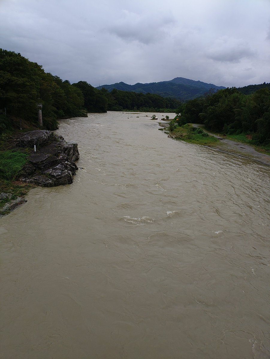 theopen9's tweet photo. あちこち登山道にも水が溢れてましたが、川の見たこと無い水量を見れば納得です
ハチが何度か偵察来てたので、ウチの方はボチボチ危険な季節到来です😱 https://t.co/Hi6bfKm6Q1