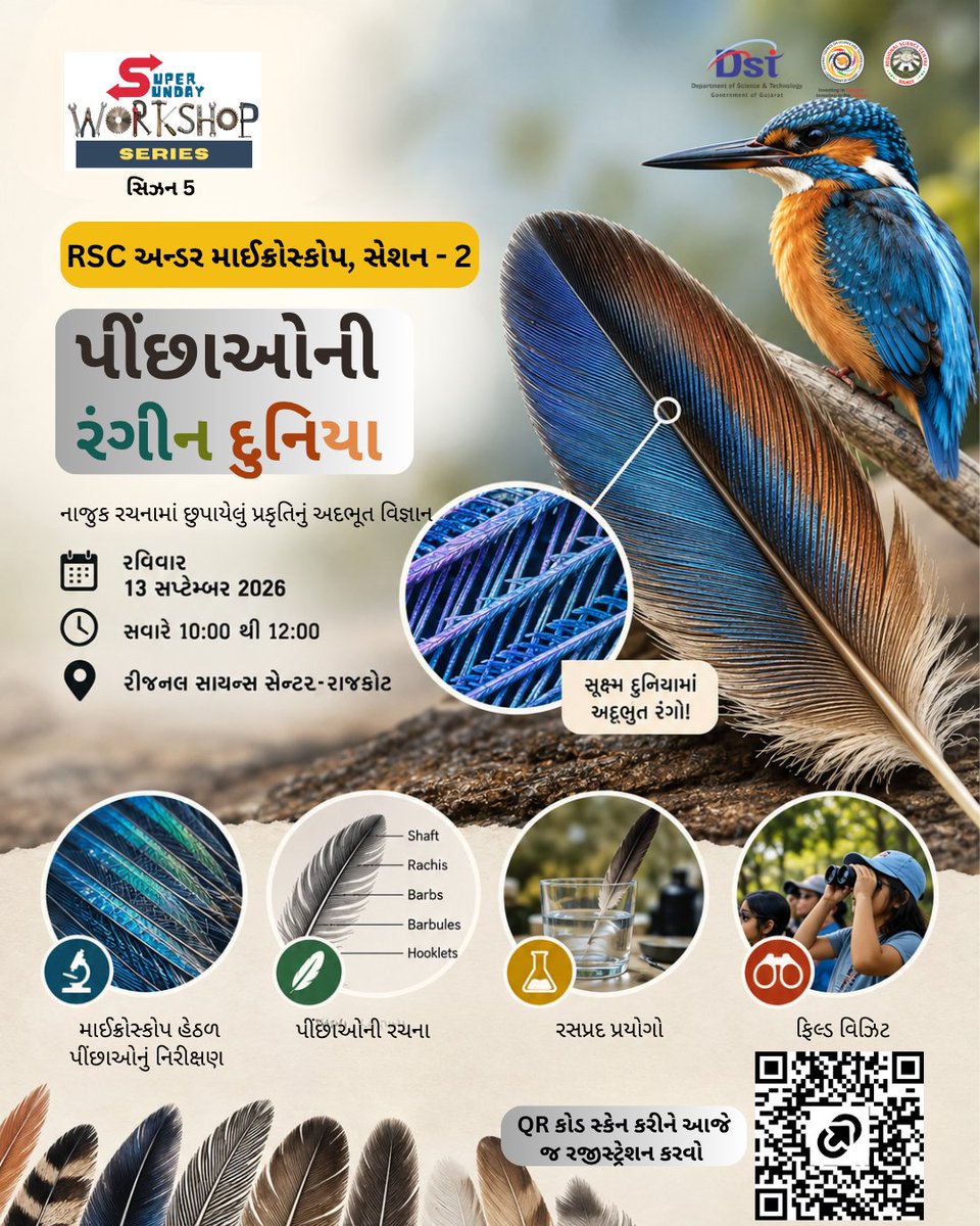 RSCRajkot's tweet photo. At RSC Under Microscope – Season 5, explore “The Colourful World of Feathers” through:

🔬 Feather structures: Shaft, Rachis, Barbs, Barbules &amp; Hooklets
🧪 Fun hands-on experiment
🔭 Field visit &amp; nature exploration
📅 13 Sept 2026 | ⏰ 10 AM–12 PM
📍 #RSCRajkot
📞 0281-2992025 https://t.co/YFsqKEfdUK